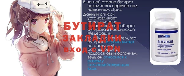 тгк Дмитриев
