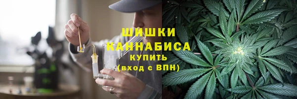 тгк Дмитриев