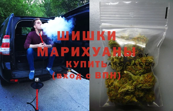 хмурый Дмитров
