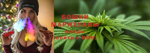 хмурый Дмитров