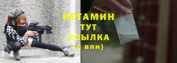 тгк Дмитриев
