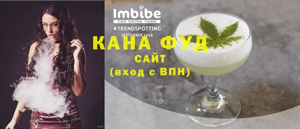 тгк Дмитриев