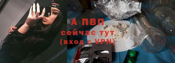 тгк Дмитриев