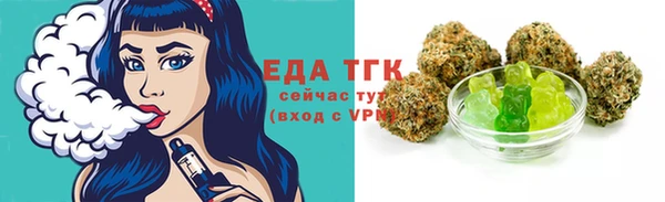 хмурый Дмитров