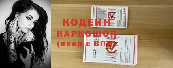 хмурый Дмитров