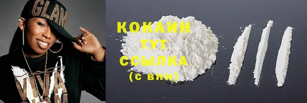 тгк Дмитриев