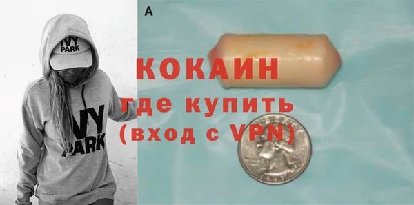 тгк Дмитриев