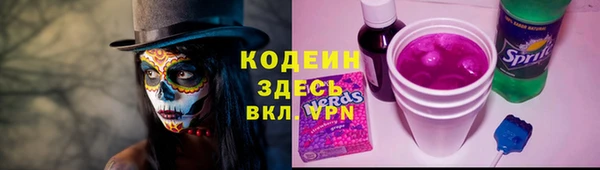 тгк Дмитриев
