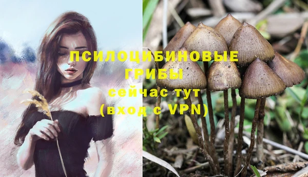 тгк Дмитриев