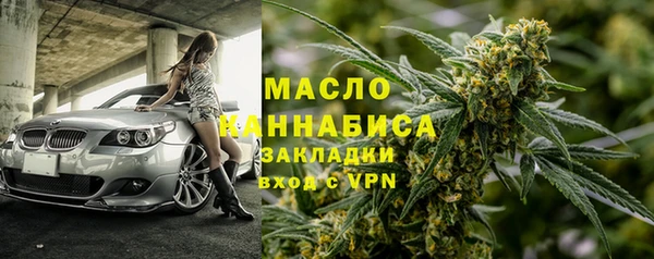 тгк Дмитриев