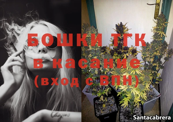 хмурый Дмитров