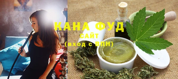 хмурый Дмитров