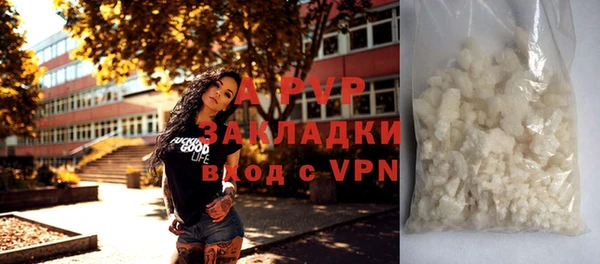 тгк Дмитриев