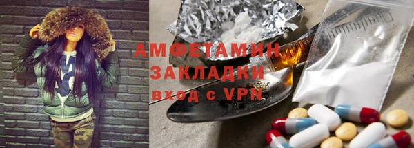 тгк Дмитриев
