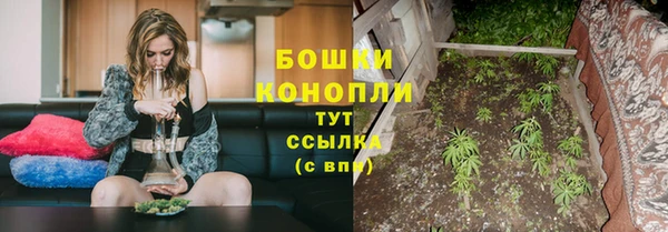 хмурый Дмитров