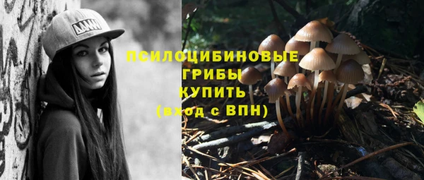 хмурый Дмитров