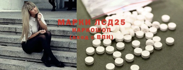 тгк Дмитриев