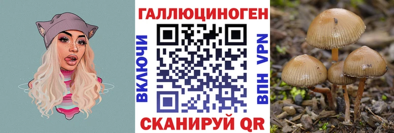 хочу   Миасс  блэк спрут   Галлюциногенные грибы прущие грибы 