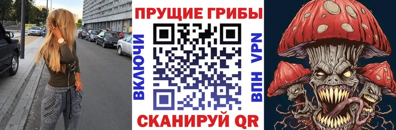 Галлюциногенные грибы мицелий Миасс